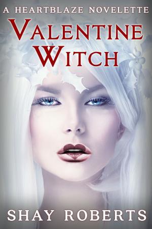 Cover of the book Valentine Witch by Penny Watson