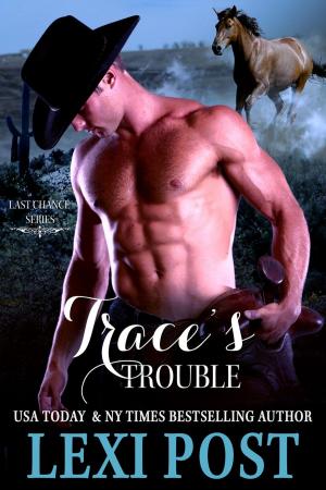Cover of the book Trace's Trouble by Lexi Post