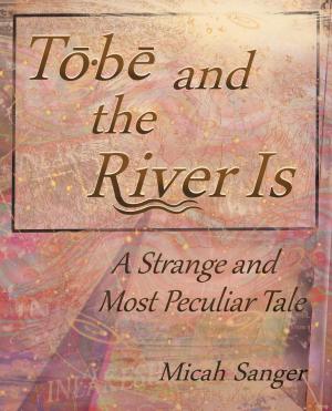 Cover of the book Tobe and the River Is by Jerome Freedman