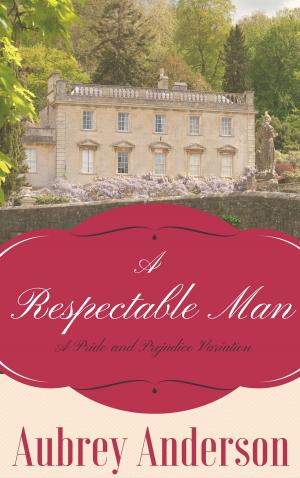 Cover of the book A Respectable Man by Naomi Rawlings