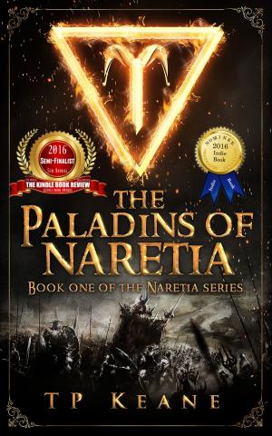 Cover of the book The Paladins of Naretia by Cynthia Vespia
