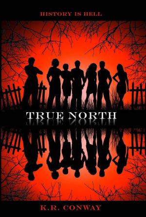 Cover of the book True North by Dangerous Walker