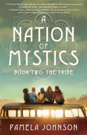 Book cover of A Nation of Mystics/ Book Two