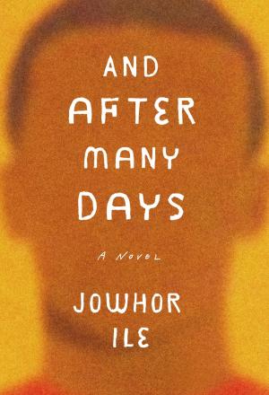 Cover of the book And After Many Days by June Davies