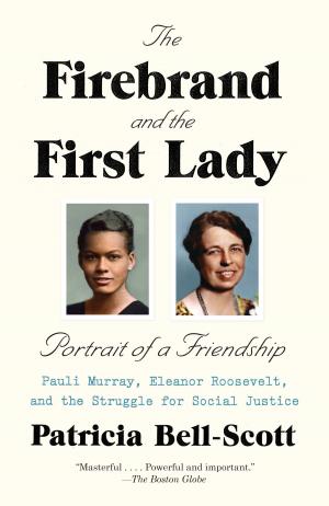 Cover of the book The Firebrand and the First Lady by Sally Denton, Roger Morris
