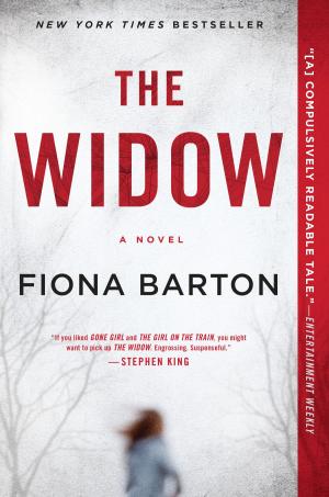 Cover of the book The Widow by Philip Delves Broughton