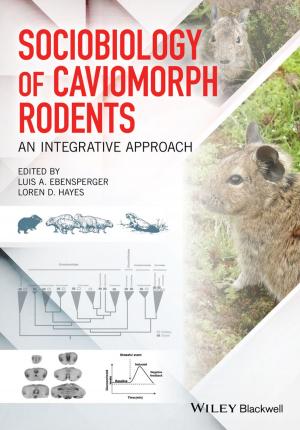 Cover of the book Sociobiology of Caviomorph Rodents by 