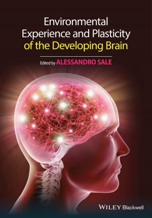 Cover of the book Environmental Experience and Plasticity of the Developing Brain by Erin E. O'Connor