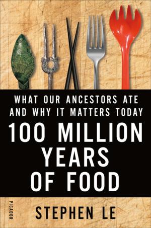 Cover of the book 100 Million Years of Food by Elias Khoury