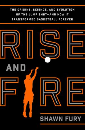 Cover of the book Rise and Fire by Jay Samit
