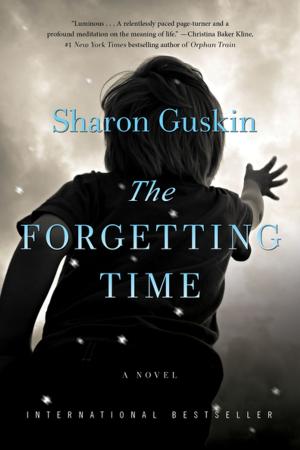 Cover of the book The Forgetting Time by Kim Brooks