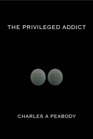 Cover of the book The Privileged Addict by Virinia Downham