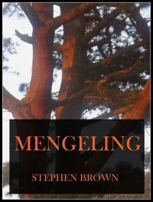 Cover of the book Mengeling by Stephen Brown
