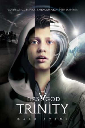 Cover of the book Mrs God: Trinity by Mathew Bridle