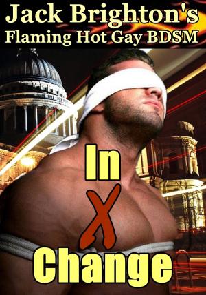 Cover of the book In X Change by J. K. Brighton