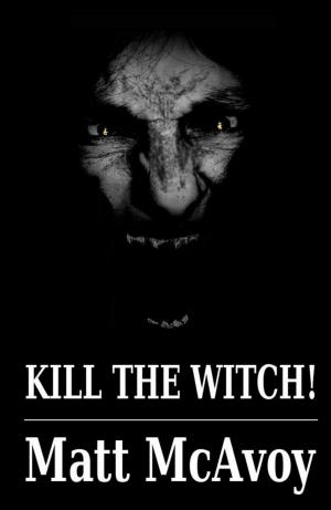 Book cover of Kill the Witch!