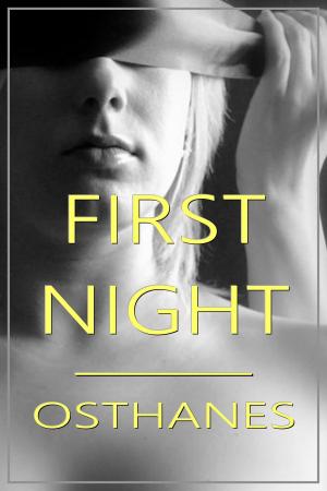 Cover of First Night
