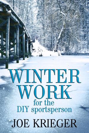Book cover of Winter Work for the DIY sportsperson