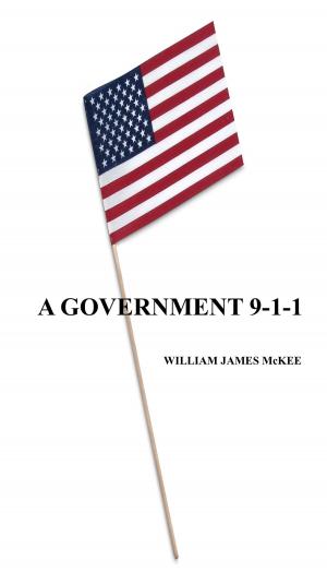 Book cover of A Government 9-1-1