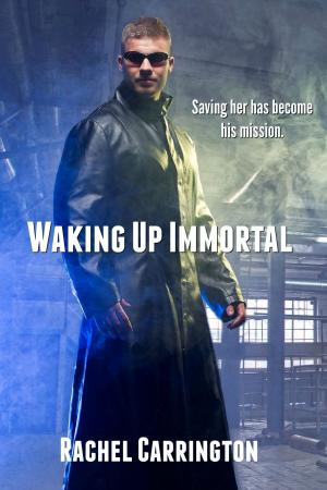 Cover of the book Waking Up Immortal by C. J. Korryn