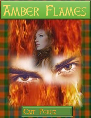 Book cover of Amber Flame