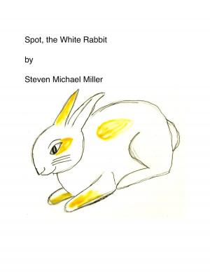Book cover of Spot, the White Rabbit