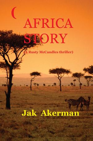 bigCover of the book Africa Story by 