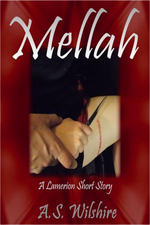 bigCover of the book Mellah by 