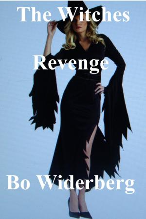 Book cover of The Witches Revenge