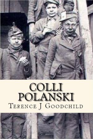 bigCover of the book Colli Polansky by 
