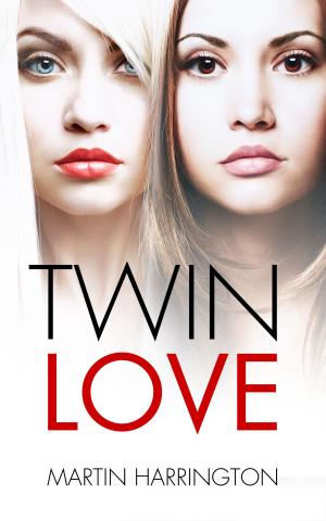 bigCover of the book Twin Love by 