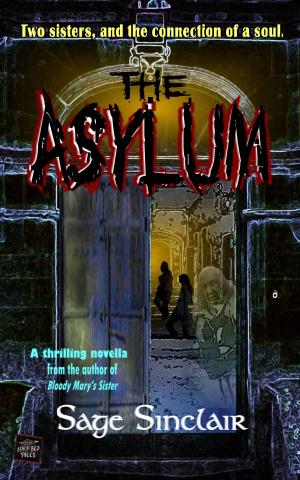 Cover of the book The Asylum by Jason Gehlert