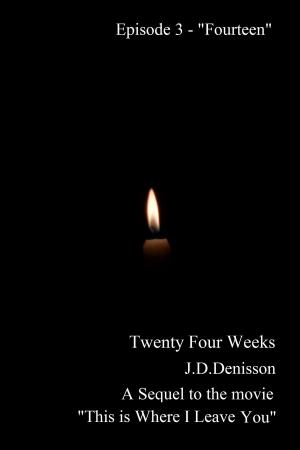 Book cover of Twenty Four Weeks: Episode 3 - "Fourteen"