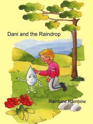 Cover of the book Dani and The Raindrop by Julie Gilbert