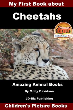 Book cover of My First Book about Cheetahs: Amazing Animal Books - Children's Picture Books