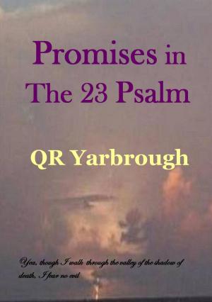 Cover of the book Promises In The 23 Psalm by Lucian Eyers
