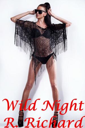 Book cover of Wild Night