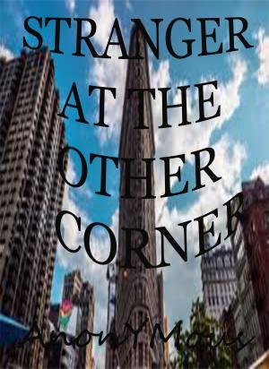 Cover of the book Stranger At The Other Corner by Sabrina A. Eubanks