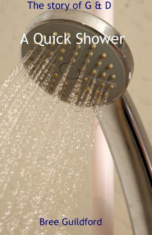 Cover of The story of G & D: A Quick Shower