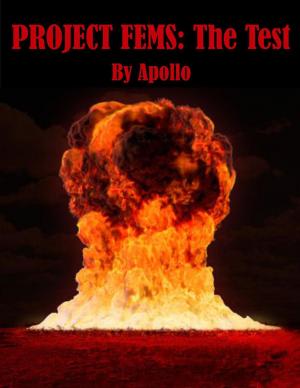 Cover of Project Fems: The Test