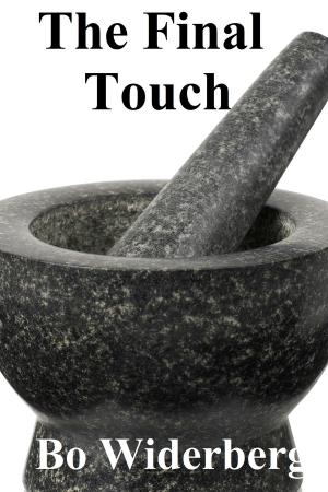 Cover of the book The Final Touch by Joel Zarley