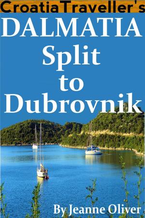 Cover of the book Dalmatia: Split to Dubrovnik 2019 by Hudson Benjamin