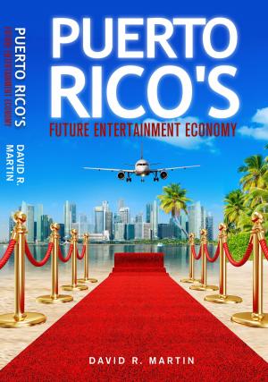 Book cover of Puerto Rico's Future Entertainment Economy