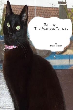 Book cover of Tommy the Fearless Tomcat