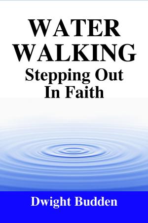 Cover of the book Water Walking by Timothy O. Daniels