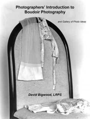 Cover of the book Photographers' Introduction to the Boudoir by David Bigwood