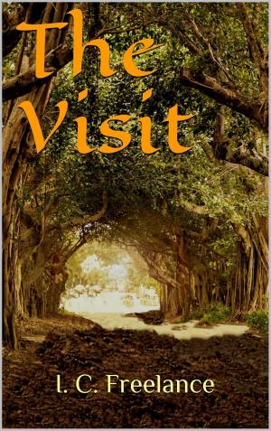 Cover of the book The Visit by Rhenna Morgan