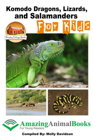 Cover of the book Komodo Dragons, Lizards, and Salamanders for Kids by Molly Davidson