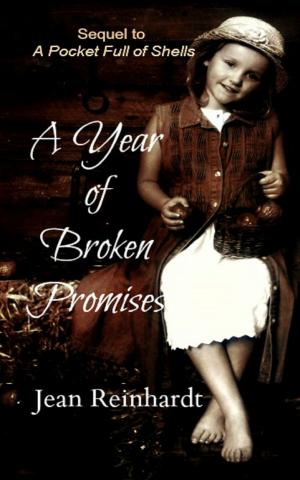 Cover of the book A Year of Broken Promises (Book 2 - An Irish Family Saga) by Robin Elno