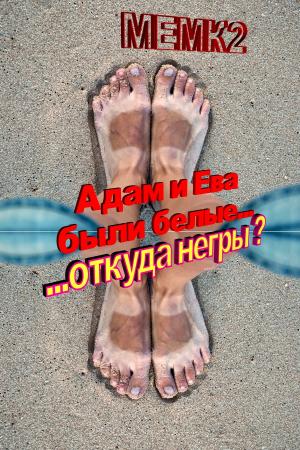 Cover of the book ...откуда негры? by Wayne T. Dowdy